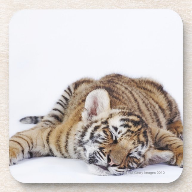 Captive, South Africa 3 Coaster (Front)