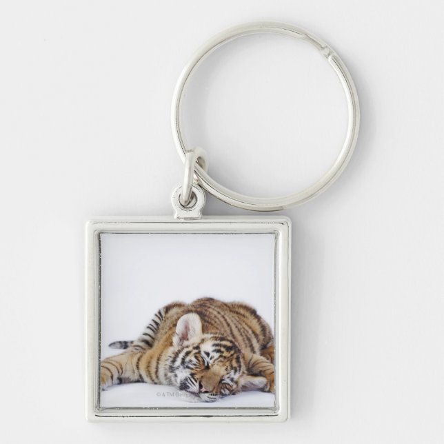 Captive, South Africa 3 Key Ring (Front)
