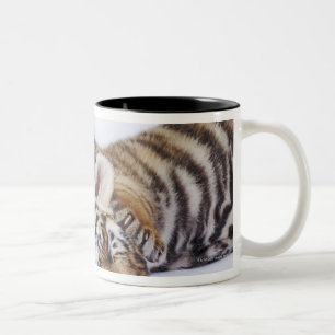 Captive, South Africa 4 Two-Tone Coffee Mug