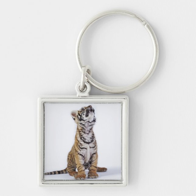 Captive, South Africa Key Ring (Front)