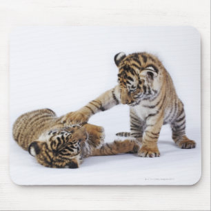 Captive, South Africa Mouse Pad