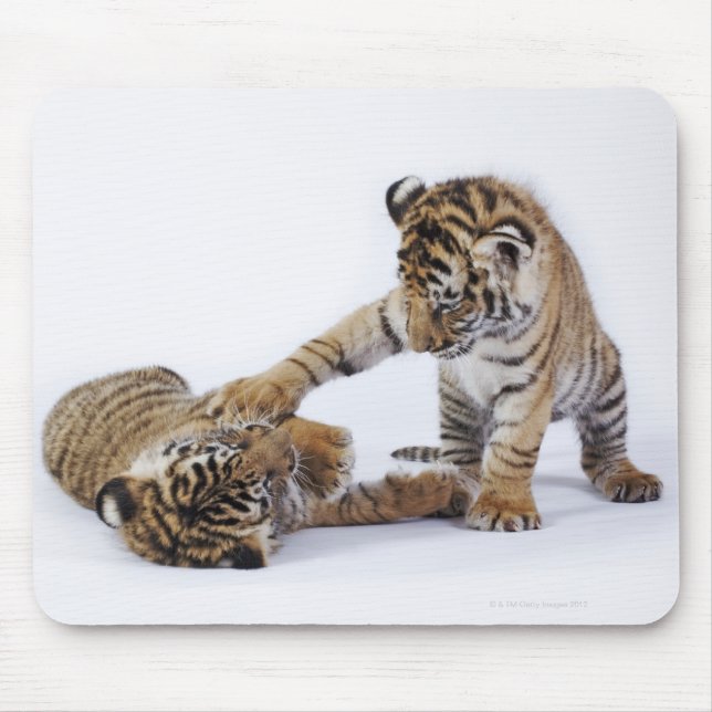 Captive, South Africa Mouse Pad (Front)