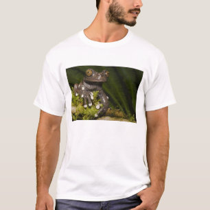 Captive Tapichalaca Tree Frog Hyloscirtus 3 T-Shirt