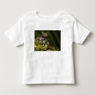Captive Tapichalaca Tree Frog Hyloscirtus 3 Toddler T-Shirt