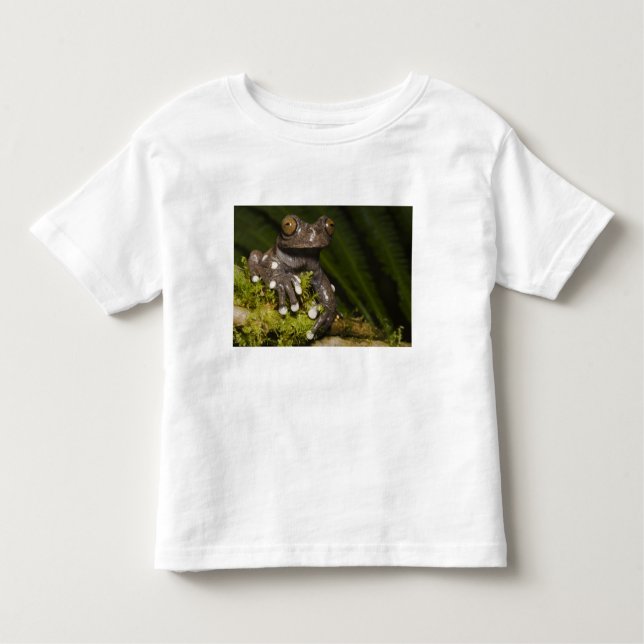 Captive Tapichalaca Tree Frog Hyloscirtus 3 Toddler T-Shirt (Front)
