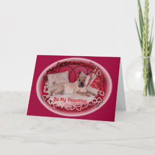 Capture Your Heart Holiday Card