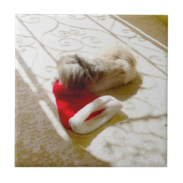 Captured Santa Ceramic Tile (Front)