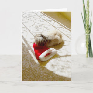 Captured Santa Holiday Card