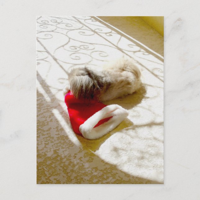 Captured Santa Holiday Postcard (Front)