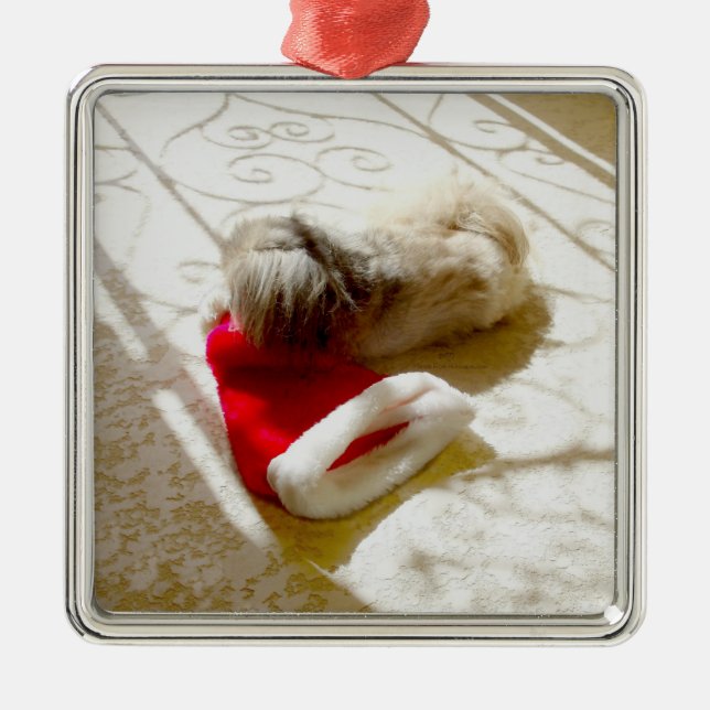 Captured Santa Metal Ornament (Front)