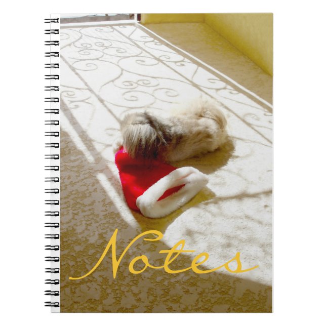 Captured Santa Notebook (Front)