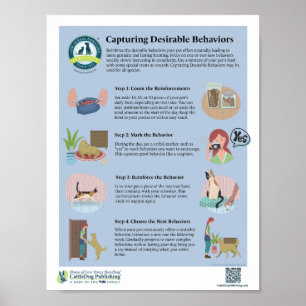 Capturing Desirable Behaviours Poster