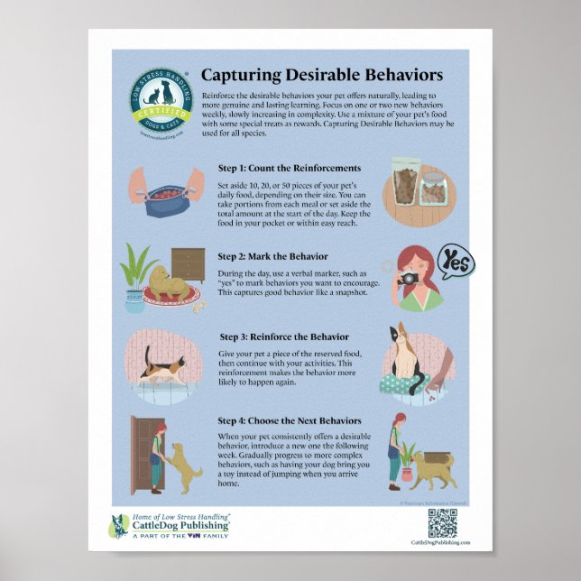 Capturing Desirable Behaviours Poster (Front)
