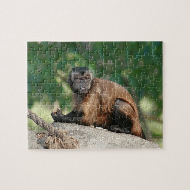 Capuchin Monkey Cute But Cranky Jigsaw Puzzle (Horizontal)
