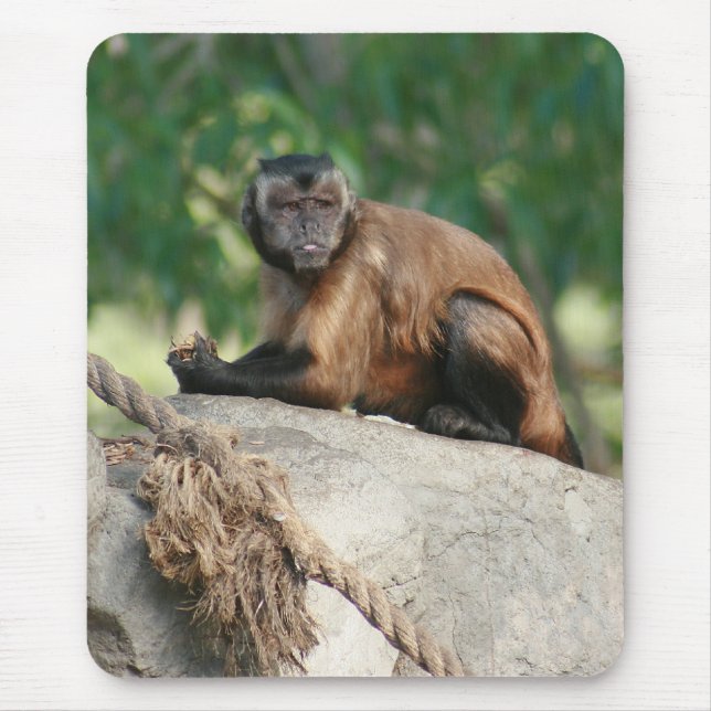 Capuchin Monkey Cute But Cranky Mouse Pad (Front)
