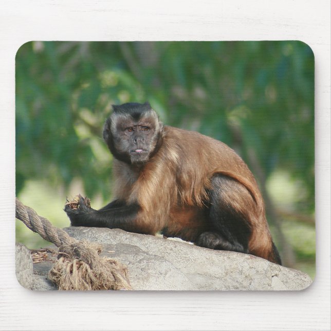 Capuchin Monkey Cute But Cranky Mouse Pad (Front)