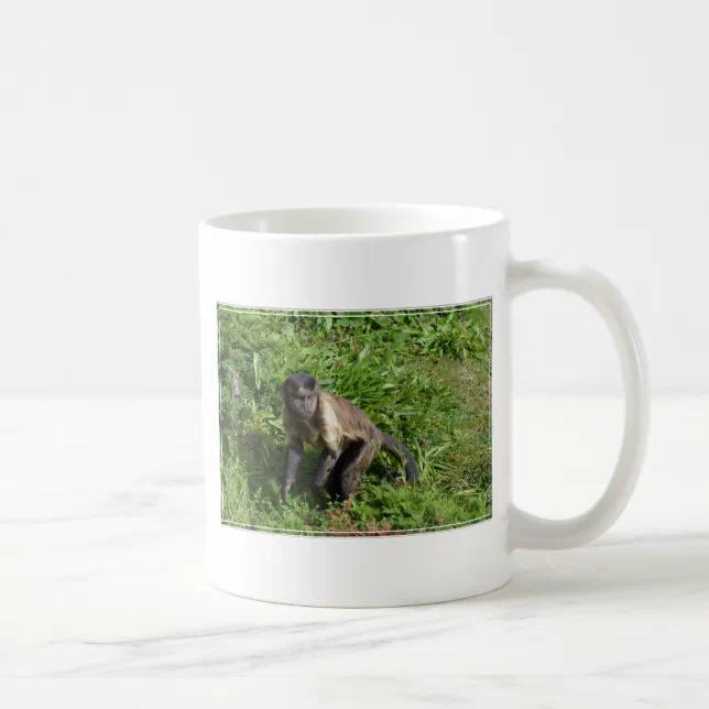 Capuchin Monkey Mugging for the Camera Coffee Mug | Zazzle