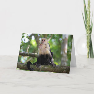Capuchin Monkeys Card