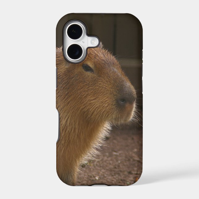Capybara (Back)