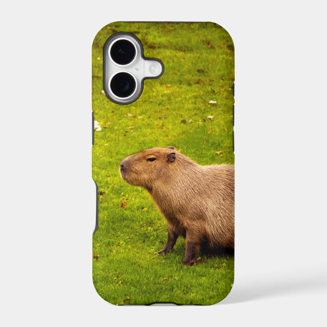 Capybara (Back)