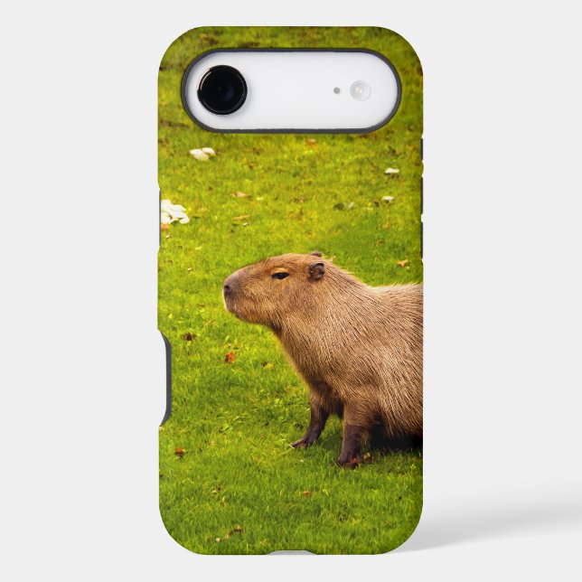 Capybara (Back)