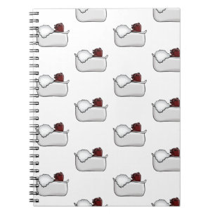 Capybara 2 notebook