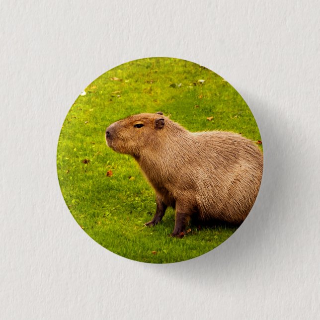 Capybara 3 Cm Round Badge (Front)
