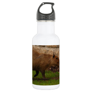 capybara 532 ml water bottle