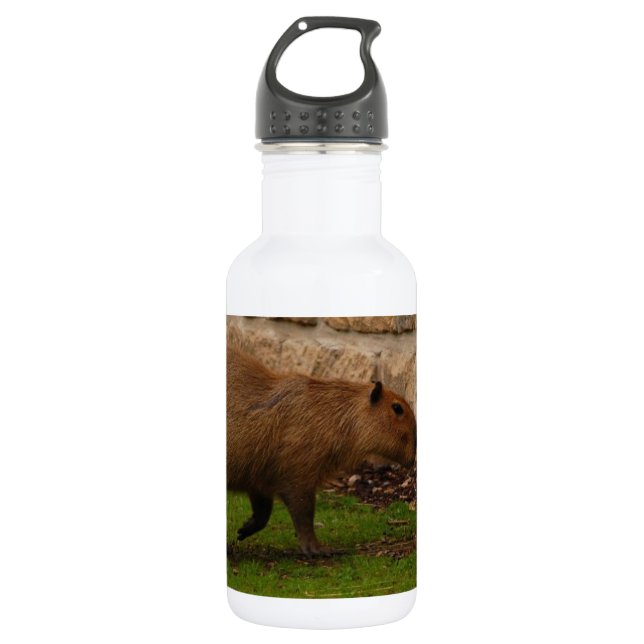 capybara 532 ml water bottle (Front)