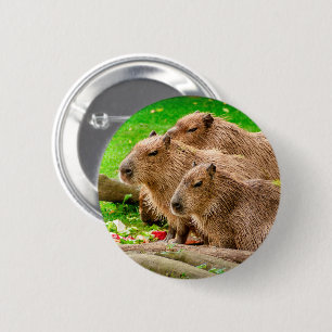 Capybara 6 Cm Round Badge