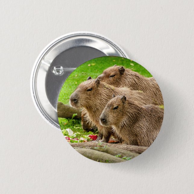 Capybara 6 Cm Round Badge (Front & Back)