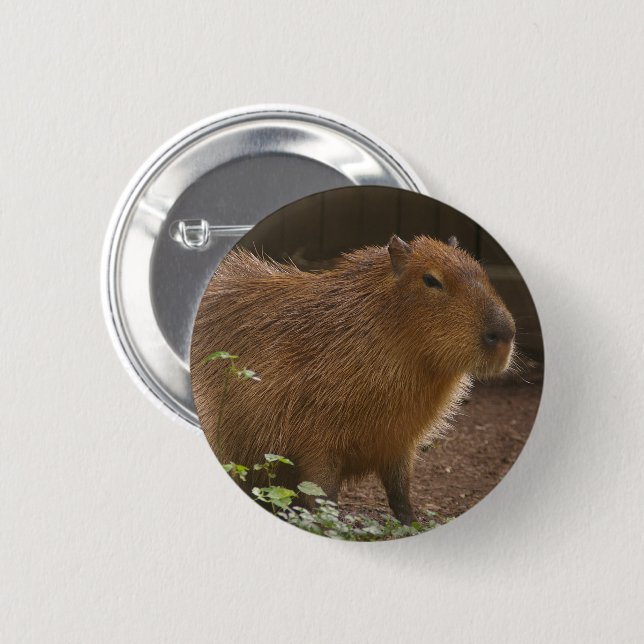 Capybara 6 Cm Round Badge (Front & Back)