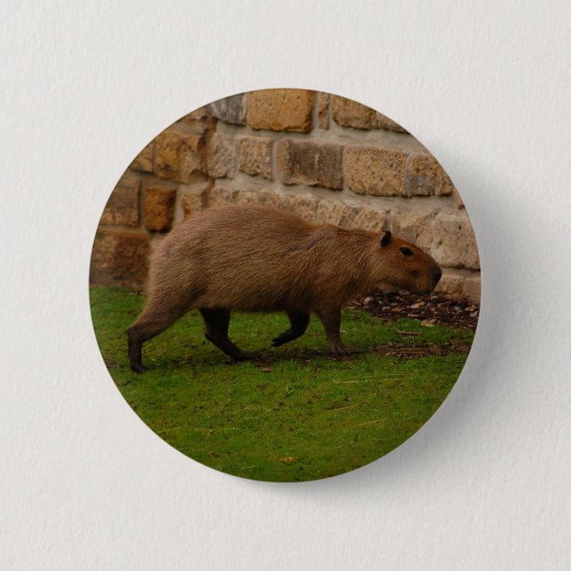 capybara 6 cm round badge (Front)