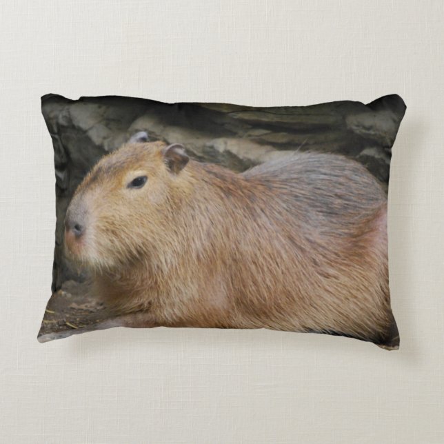 capybara-7 decorative cushion (Back)