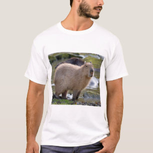 Capybara at the edge of a pond T-Shirt