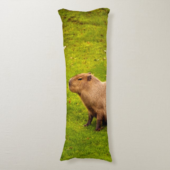 Capybara Body Cushion (Front Vertical)