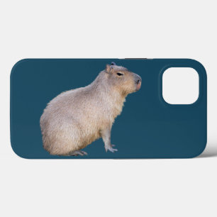 Capybara iPhone 13 Case