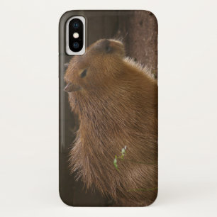 Capybara Case-Mate iPhone Case