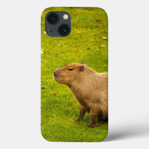 Capybara iPhone 13 Case
