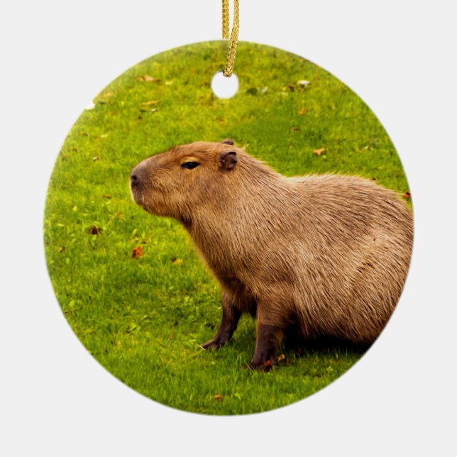 Capybara Ceramic Ornament (Front)