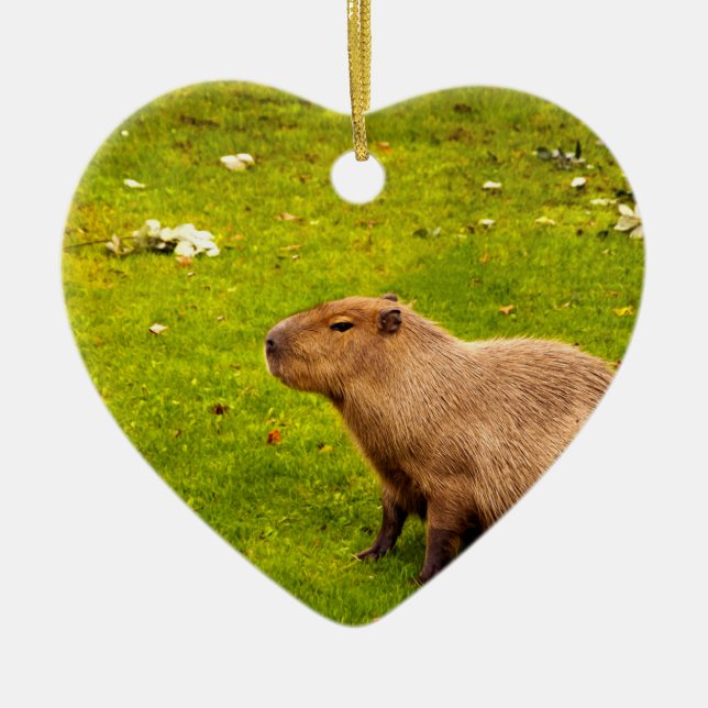 Capybara Ceramic Ornament (Front)