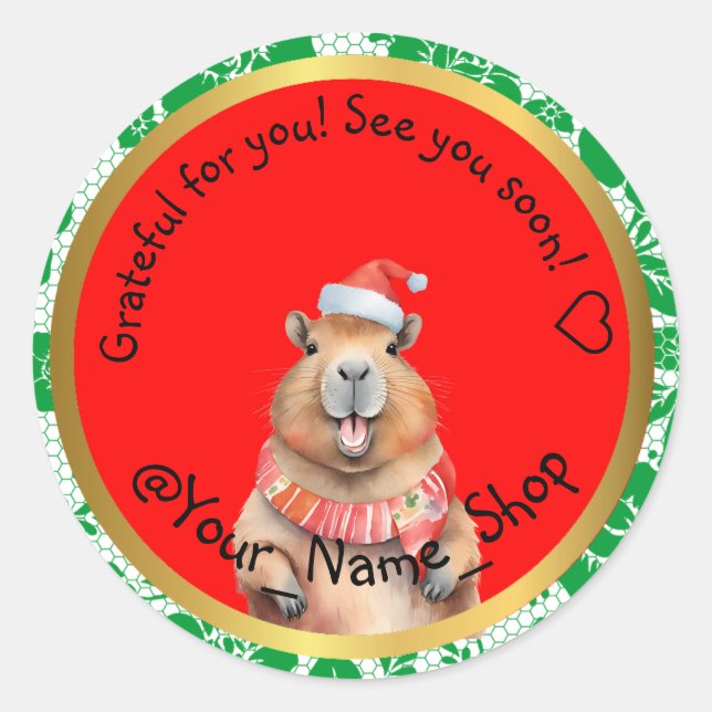 Capybara Cheers for Your Customers! 🥳 Classic Round Sticker (Front)