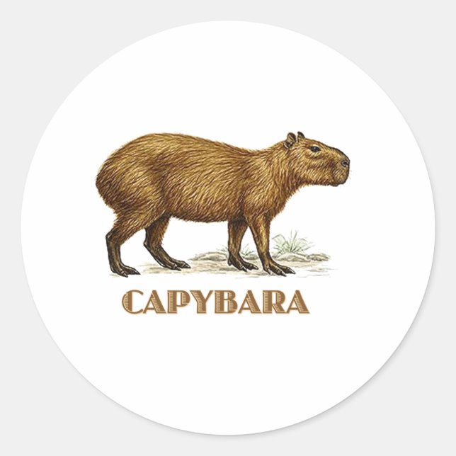 capybara classic round sticker (Front)
