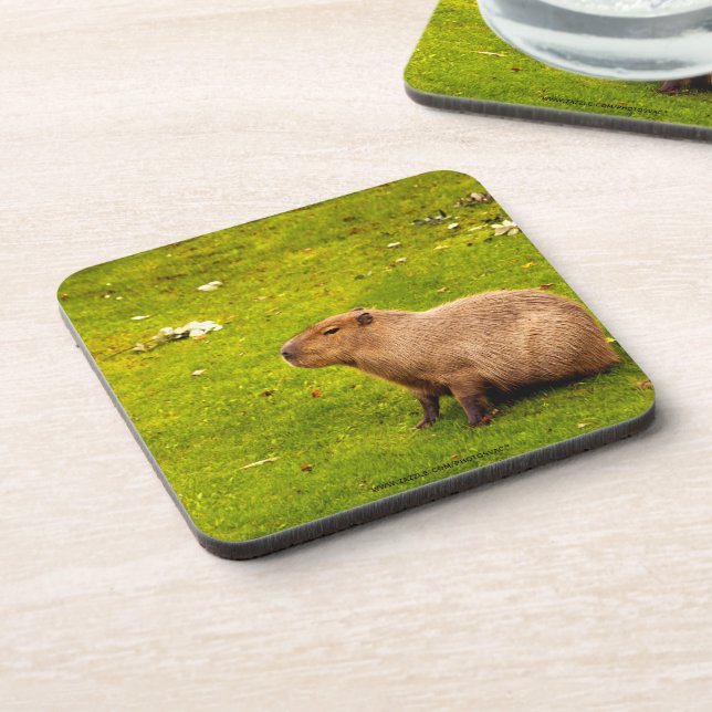 Capybara Coaster (Left Side)