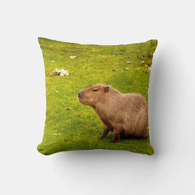 Capybara Cushion (Front)