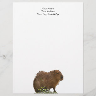 Capybara Custom Letterhead