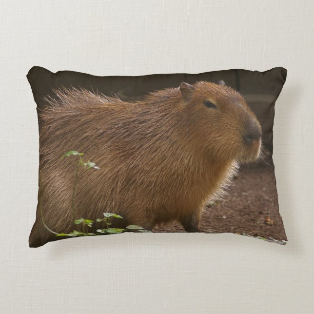 Capybara Decorative Cushion (Front)