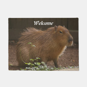 Capybara Doormat