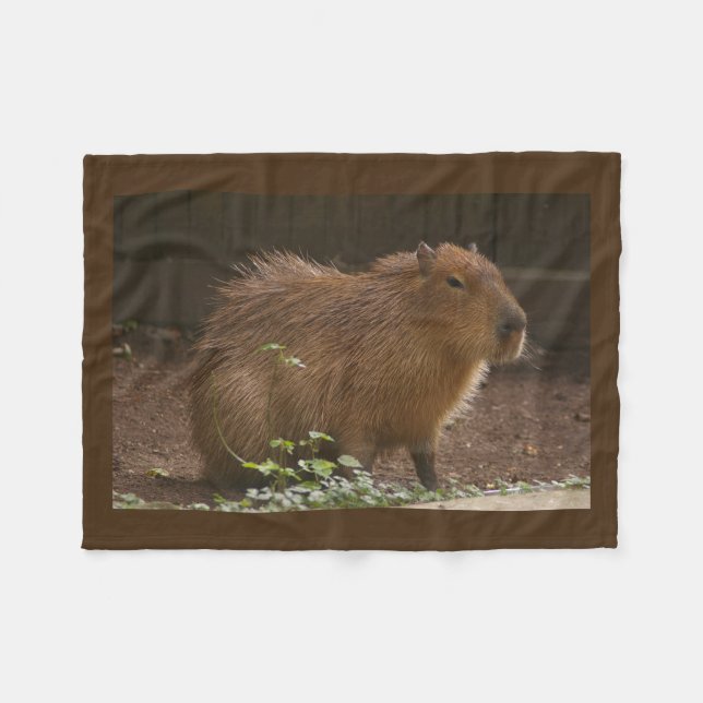 Capybara Fleece Blanket (Front (Horizontal))