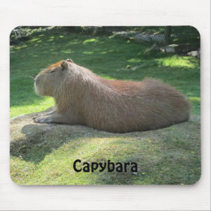 Capybara - Giant Rodent Mouse Pad